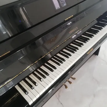 호텔 Glorian 풀라