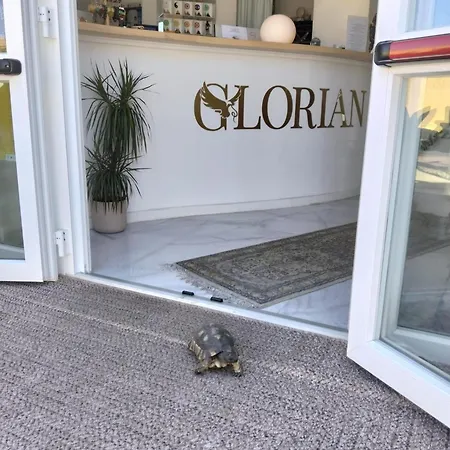 호텔 Glorian 4*